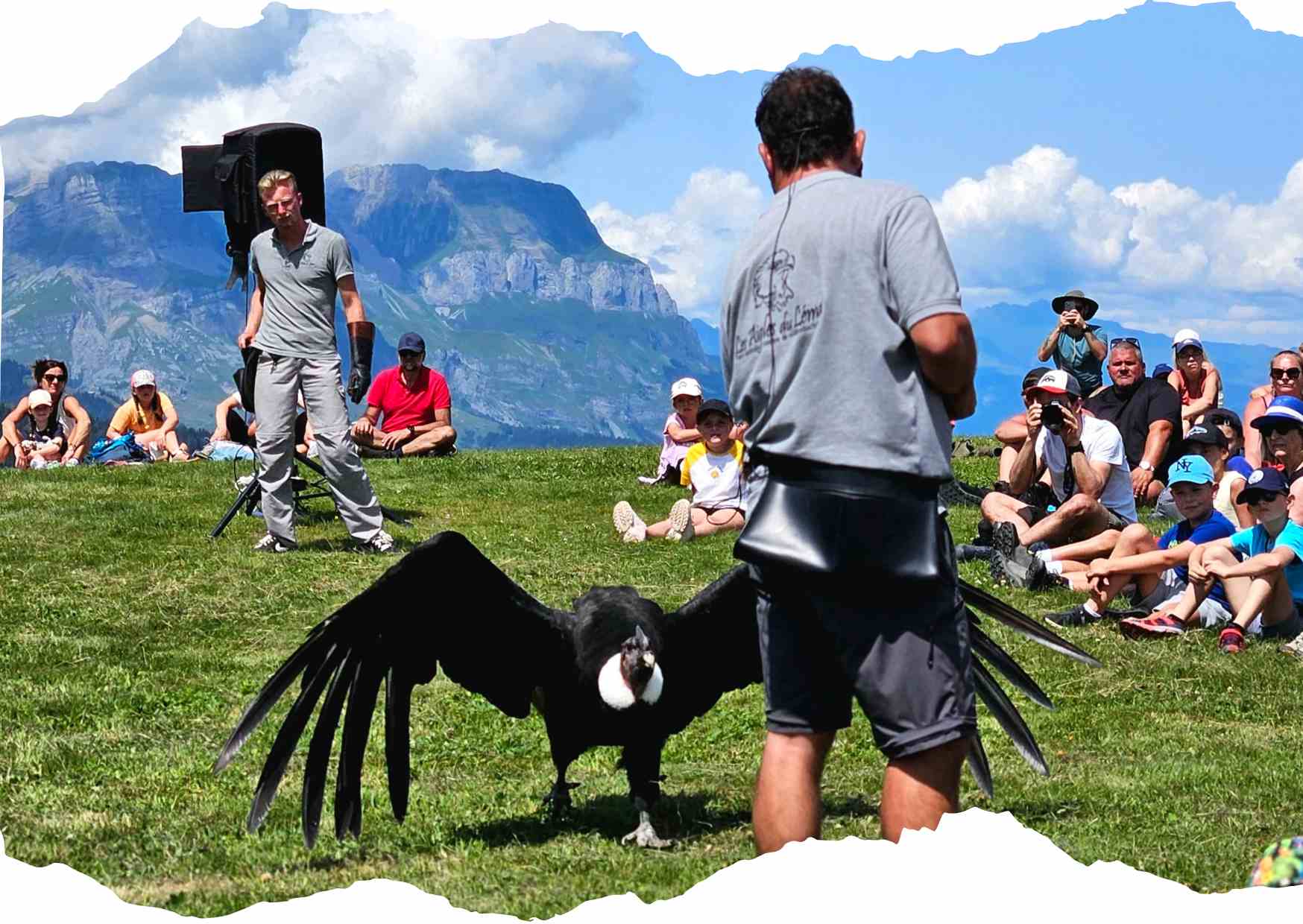 Aigles-du-leman_ agenda